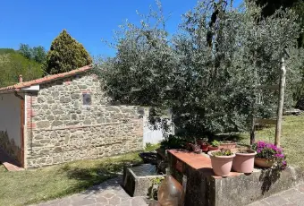 Rexer-MontecatiniTerme-Casa-colonica-via-del-Pino-MontecatiniTerme-Giardino