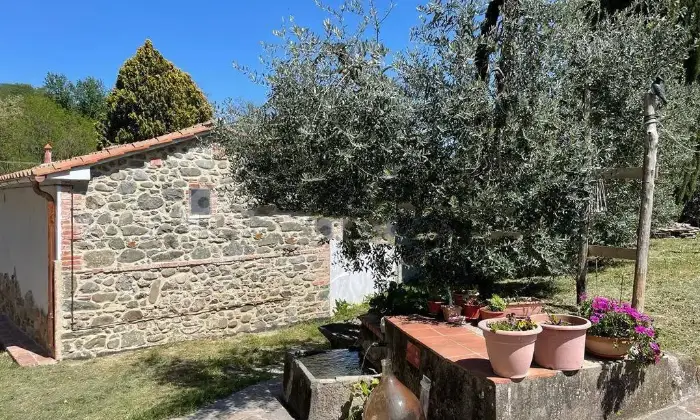 Rexer-MontecatiniTerme-Casa-colonica-via-del-Pino-MontecatiniTerme-Giardino