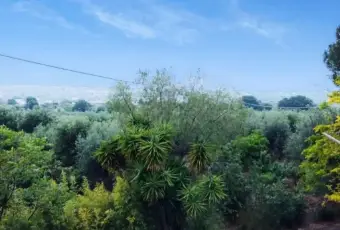 Rexer-Monopoli-Vendesi-villa-plurifamiliare-Contrada-Tavarello-Monopoli-Giardino
