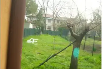 Rexer-Codigoro-Appartamento-in-vendita-in-via-Cavallotti-a-Codigoro-Giardino