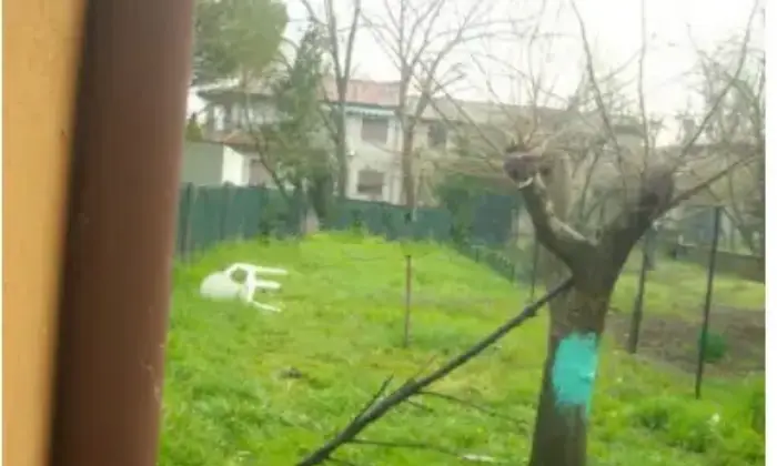 Rexer-Codigoro-Appartamento-in-vendita-in-via-Cavallotti-a-Codigoro-Giardino