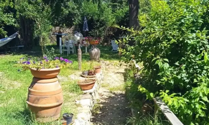 Rexer-Torrita-di-Siena-Villa-unifamiliare-Localit-Gore-Caselle-Gore-Torrita-di-Siena-Giardino