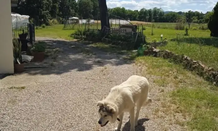 Rexer-Torrita-di-Siena-Villa-unifamiliare-Localit-Gore-Caselle-Gore-Torrita-di-Siena-Giardino
