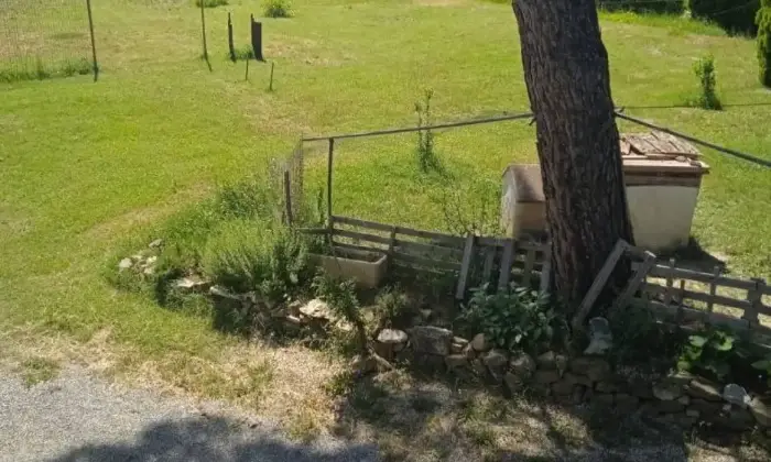 Rexer-Torrita-di-Siena-Villa-unifamiliare-Localit-Gore-Caselle-Gore-Torrita-di-Siena-Giardino