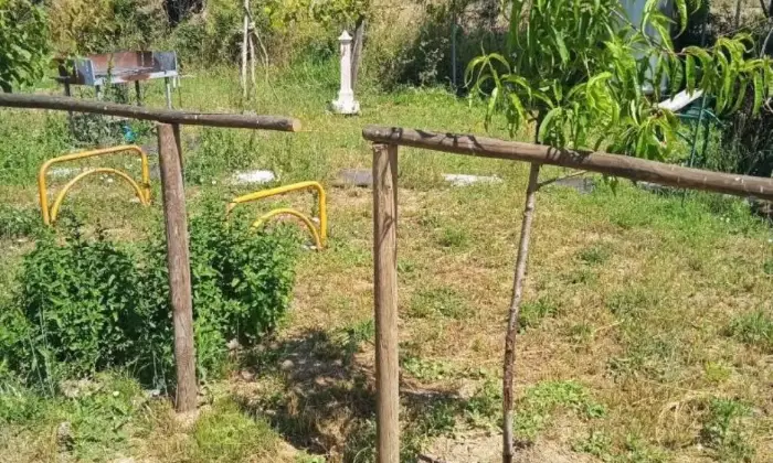Rexer-Torrita-di-Siena-Villa-unifamiliare-Localit-Gore-Caselle-Gore-Torrita-di-Siena-Giardino