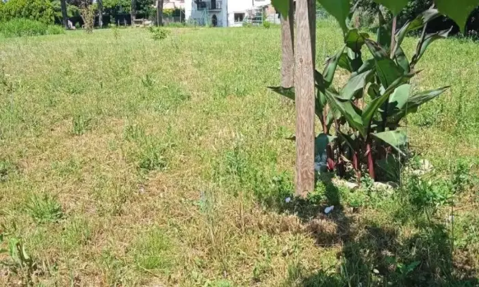 Rexer-Torrita-di-Siena-Villa-unifamiliare-Localit-Gore-Caselle-Gore-Torrita-di-Siena-Giardino