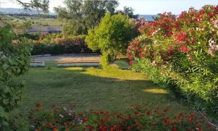 Rexer-Siniscola-Vendesi-villa-in-Ss-a-Siniscola-Giardino