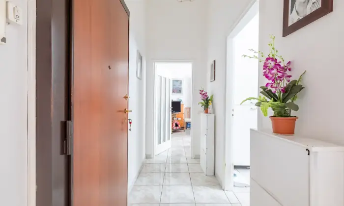 Rexer-Roma-Luminoso-e-comodo-appartamento-in-zona-tranquilla-NUDA-PROPRIETA-ALTRO