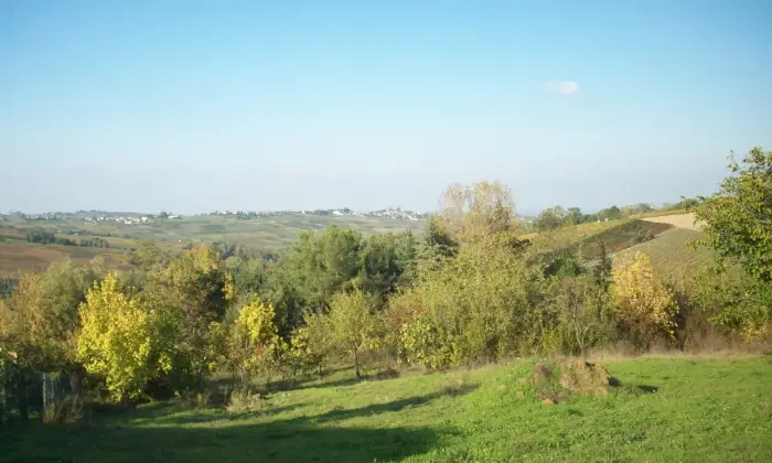Rexer-Casa-Mascandola-Terreno-edificabile-a-CASA-MASCANDOLA-fraz-di-Ziano-Piacentino-colline-Val-Tidone-Altro