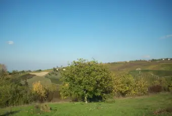 Rexer-Casa-Mascandola-Terreno-edificabile-a-CASA-MASCANDOLA-fraz-di-Ziano-Piacentino-colline-Val-Tidone-Altro