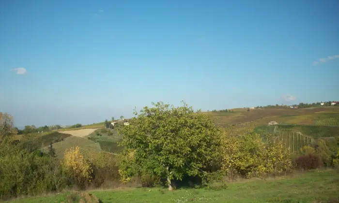 Rexer-Casa-Mascandola-Terreno-edificabile-a-CASA-MASCANDOLA-fraz-di-Ziano-Piacentino-colline-Val-Tidone-Altro