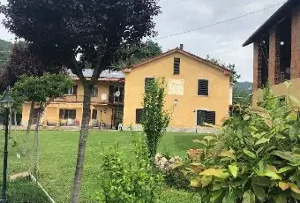 Rexer-Piana-Crixia-Vendesi-casa-indipendente-con-giardino-e-terreno-a-PIANA-CRIXIA-Giardino