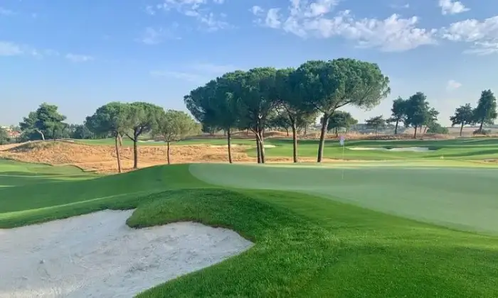 Rexer-Guidonia-Montecelio-VENDITA-MULTIPROPRIETA-A-ROMA-al-GOLF-CLUB-MESE-LUGLIO-Giardino