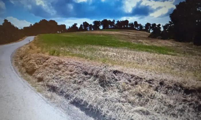 Rexer-Pietralunga-VENDESI-IN-BLOCCO-LOTTI-TERRENO-uso-abitativo-turistico-oppure-singolarmente-Terrazzo
