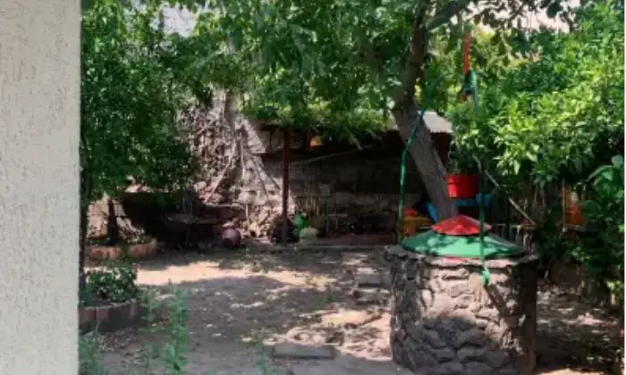 Rexer-Oschiri-Vendesi-villa-in-via-San-DemetrioOschiri-Giardino