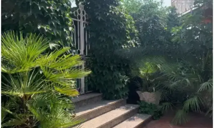 Rexer-Oschiri-Vendesi-villa-in-via-San-DemetrioOschiri-Giardino
