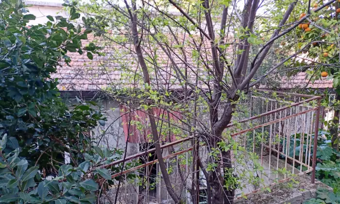 Rexer-Loreto-Aprutino-CASA-INDIPENDENTE-PRESTIGIOSA-NEL-CENTRO-DI-LORETO-APRUTINO-Giardino
