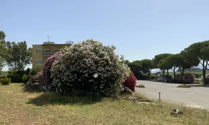 Rexer-Follonica-Immobile-in-vendita-in-via-SS-a-Follonica-Giardino