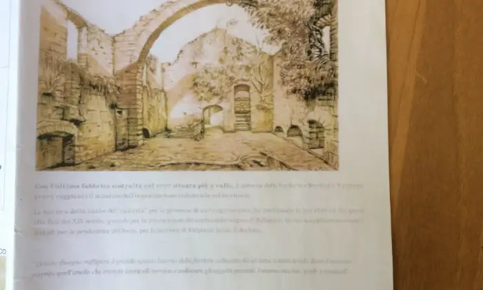 Rexer-Follonica-Rustico-in-vendita-in-via-Massetana-a-Valpiana-Follonica-Altro