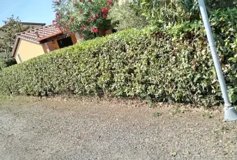 Rexer-Cecina-Monolocale-in-vendita-in-residence-a-CECINA-LI-Terrazzo