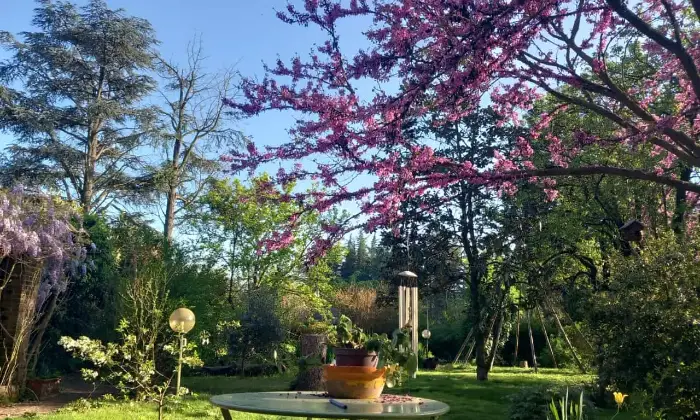 Rexer-Alessandria-Rustico-Casale-in-Strada-Provinciale-Pavia-Alessandria-GIARDINO