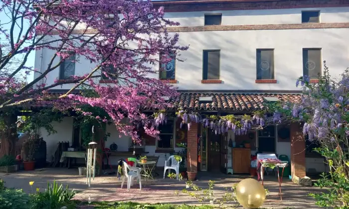 Rexer-Alessandria-Rustico-Casale-in-Strada-Provinciale-Pavia-Alessandria-GIARDINO
