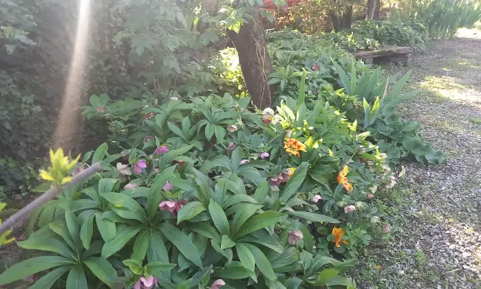 Rexer-Alessandria-Splendido-Casale-Immerso-nel-Verde-Alessandria-GIARDINO