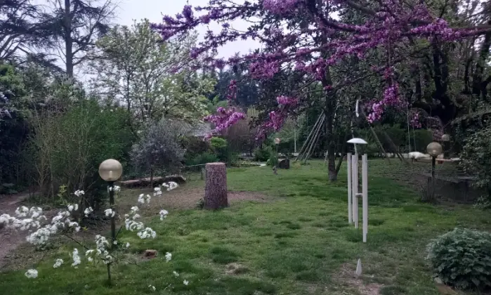 Rexer-Alessandria-Rustico-Casale-in-Strada-Provinciale-Pavia-Alessandria-GIARDINO