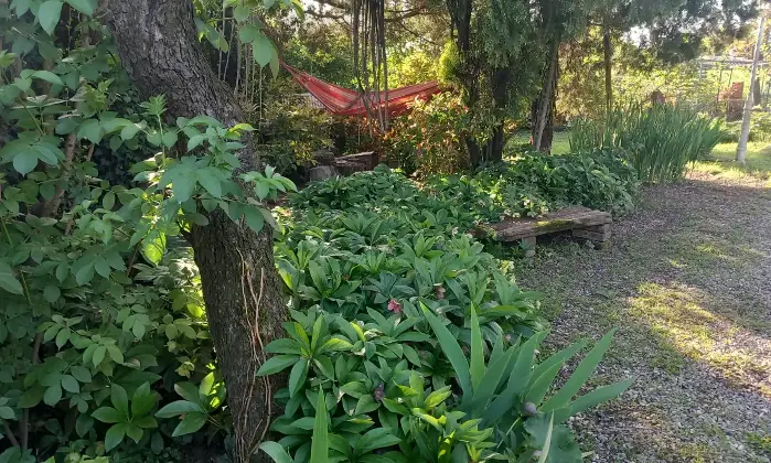 Rexer-Alessandria-Splendido-Casale-Immerso-nel-Verde-Alessandria-GIARDINO