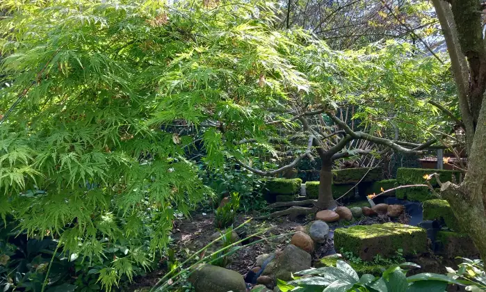 Rexer-Alessandria-Splendido-Casale-Immerso-nel-Verde-Alessandria-GIARDINO