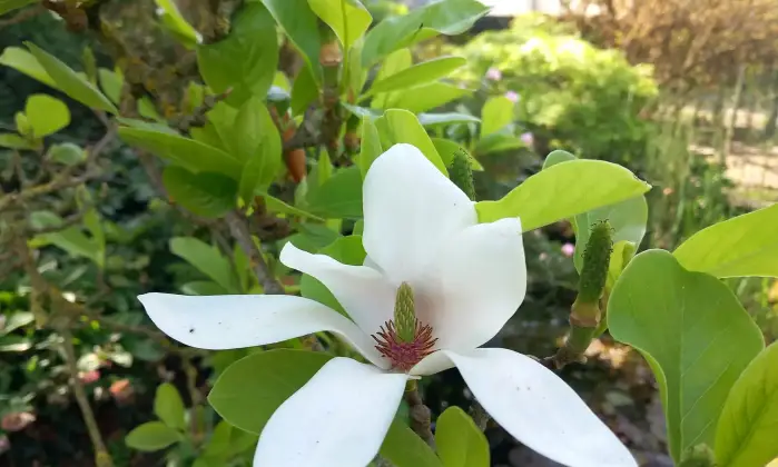 Rexer-Alessandria-Splendido-Casale-Immerso-nel-Verde-Alessandria-GIARDINO