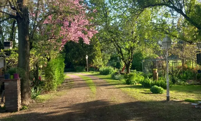 Rexer-Alessandria-Rustico-Casale-in-Strada-Provinciale-Pavia-Alessandria-GIARDINO