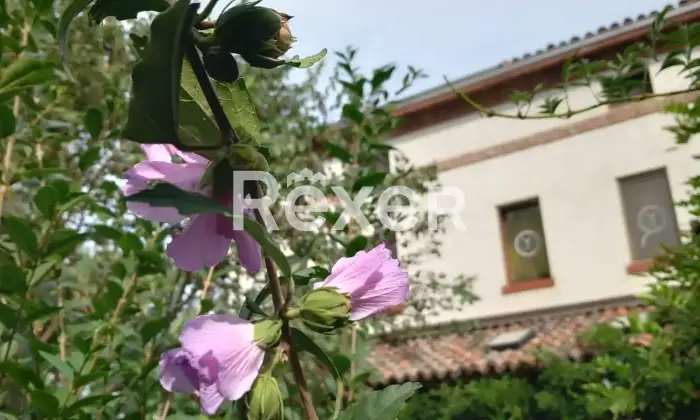 Rexer-Alessandria-Splendido-Casale-Immerso-nel-Verde-Alessandria-Altro