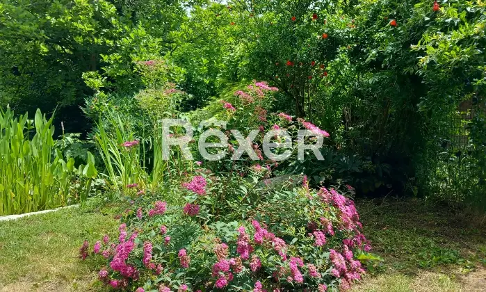 Rexer-Alessandria-Splendido-Casale-Immerso-nel-Verde-Alessandria-Altro