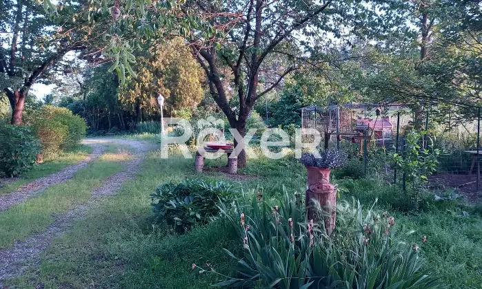 Rexer-Alessandria-Splendido-Casale-Immerso-nel-Verde-Alessandria-Altro