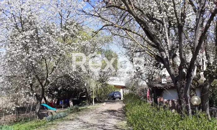 Rexer-Alessandria-Splendido-Casale-Immerso-nel-Verde-Alessandria-Altro