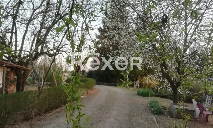 Rexer-Alessandria-Splendido-Casale-Immerso-nel-Verde-Alessandria-Altro