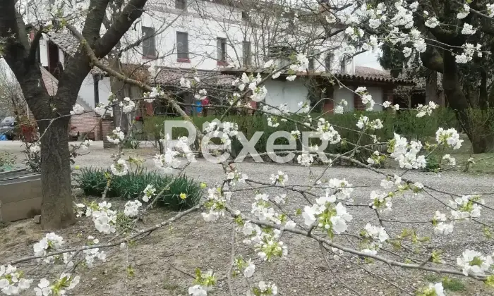 Rexer-Alessandria-Splendido-Casale-Immerso-nel-Verde-Alessandria-Altro