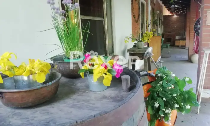 Rexer-Alessandria-Splendido-Casale-Immerso-nel-Verde-Alessandria-Altro