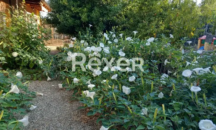 Rexer-Alessandria-Splendido-Casale-Immerso-nel-Verde-Alessandria-Altro