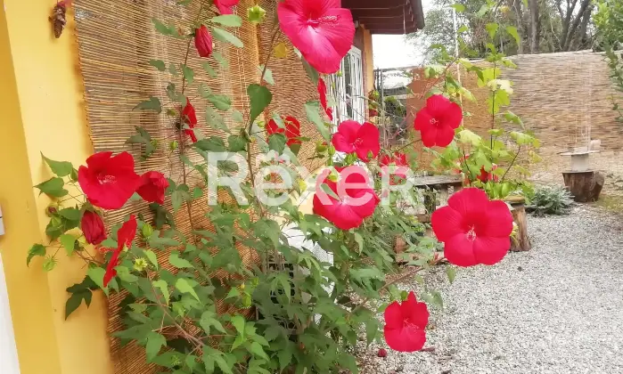 Rexer-Alessandria-Splendido-Casale-Immerso-nel-Verde-Alessandria-Altro