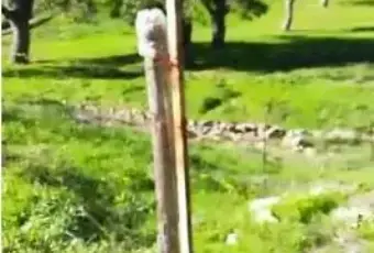 Rexer-San-Fele-Vendesi-casa-inipendente-con-terreno-in-campagna-a-SAN-FELE-ALTRO