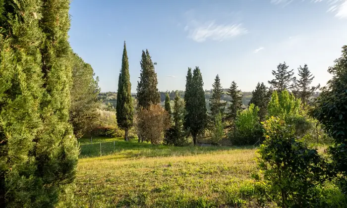 Rexer-San-Miniato-Casale-In-toscana-con-piscina-e-campo-da-tennis-Giardino