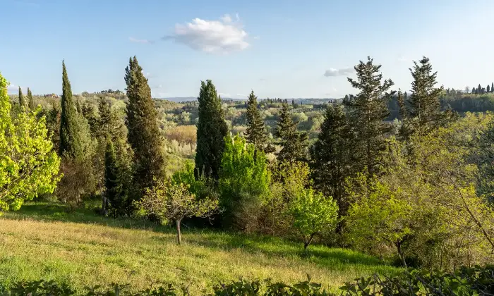 Rexer-San-Miniato-Casale-In-toscana-con-piscina-e-campo-da-tennis-Giardino