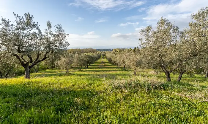 Rexer-San-Miniato-Casale-In-toscana-con-piscina-e-campo-da-tennis-Giardino