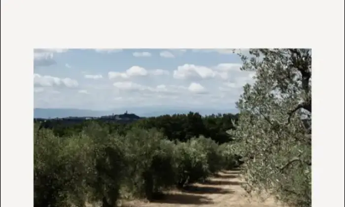 Rexer-San-Miniato-Casale-In-toscana-con-piscina-e-campo-da-tennis-Giardino