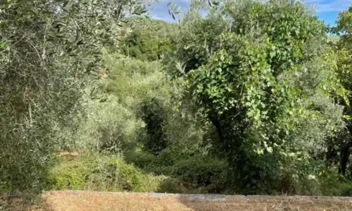 Rexer-Larciano-CASA-SULLE-COLLINE-LARCIANO-Altro