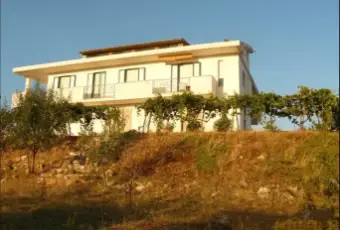 Rexer-San-Nicandro-Garganico-Vendesi-villa-indipendente-con-ettari-di-terreno-a-San-Nicandro-Garganico-FG-Terrazzo