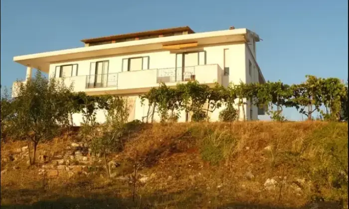 Rexer-San-Nicandro-Garganico-Vendesi-villa-indipendente-con-ettari-di-terreno-a-San-Nicandro-Garganico-FG-Terrazzo