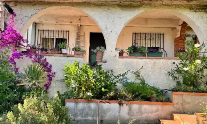 Rexer-Piazza-Armerina-Villa-in-vendita-in-strada-Provinciale-Piazza-Armerina-Giardino